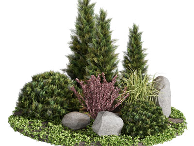 现代花草树木 石头景观园艺小品