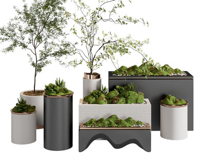 现代花箱花盆盆栽植物