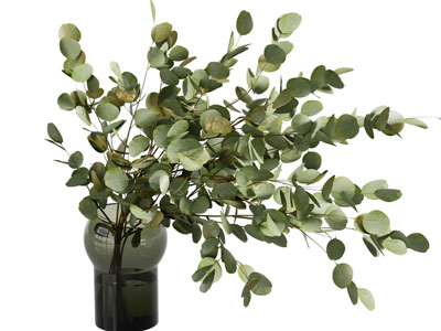 现代玻璃花瓶花卉