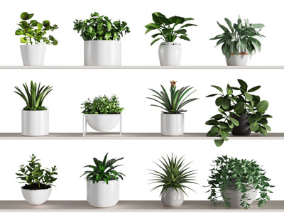 现代花盆盆景盆栽植物摆件