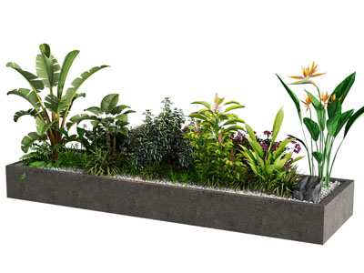 现代花坛盆景盆栽植物