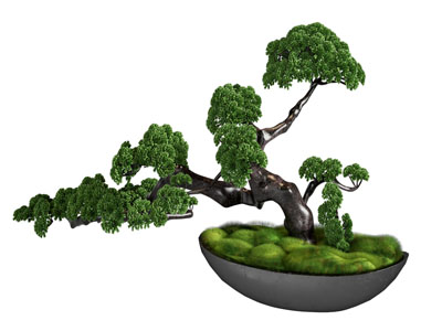 新中式松树盆景盆栽植物摆件