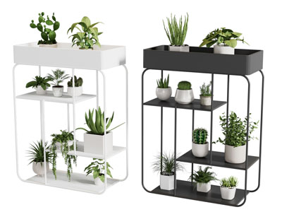 现代花架 盆景盆栽植物