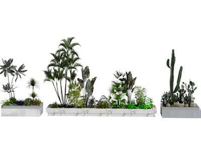 现代花池花坛花草盆栽植物