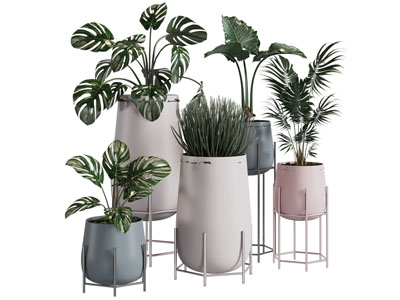 现代花盆盆景盆栽