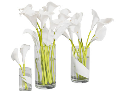 现代玻璃花瓶花卉