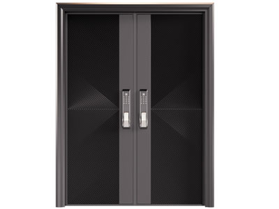 现代密码双开门 大门3d模型 现代密码双开门 大门