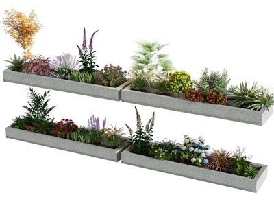 现代花坛花草花卉盆景盆栽