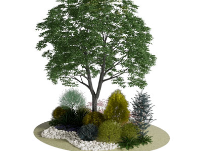 现代花草 灌木 树木 景观园艺小品