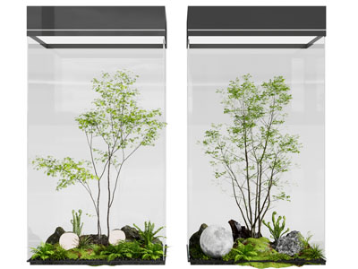 现代玻璃罩 花草 石头 植物 室内景观园艺小品