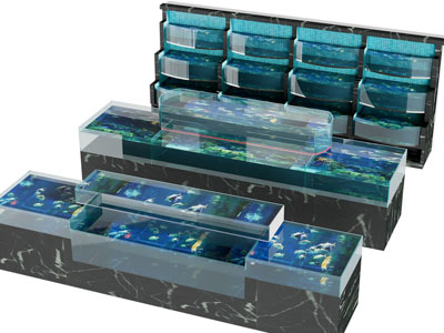 现代海洋池 海鲜生物货架 展柜3d模型 现代海洋池 海鲜生物货架 展柜