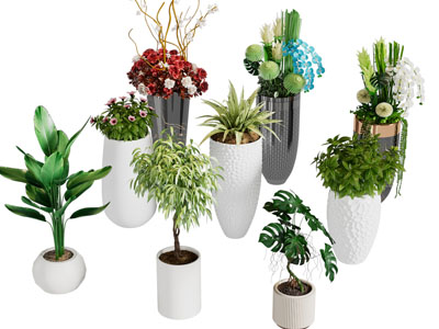 现代花盆盆栽植物