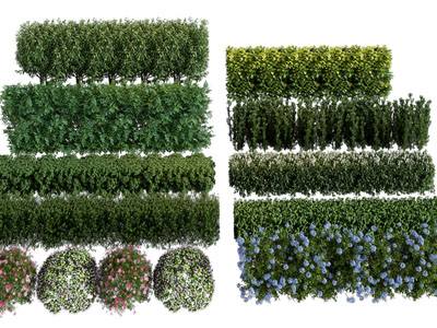现代长方形 球形景观花卉 花草 灌木丛植物