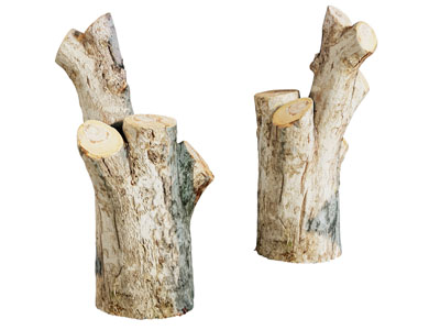 现代木桩 木头 木段 木材