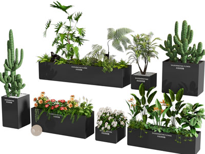现代花箱花草植物盆栽