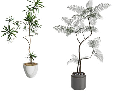 现代花盆盆景盆栽