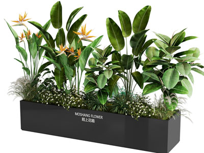 现代花箱花草绿植盆景盆栽