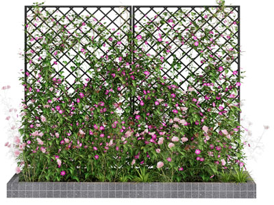 现代花池藤蔓植物 植物墙 花草花卉植物景观园艺小品