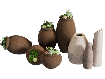 侘寂风陶艺器皿 盆栽植物