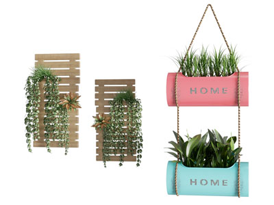 现代墙面吊篮绿植 植物墙