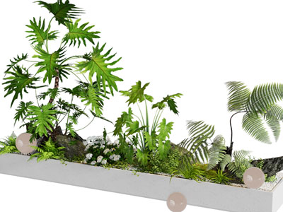 现代花卉 花草景观园艺小品