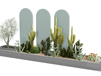 现代花坛 多肉盆栽植物