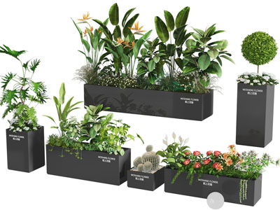 现代花箱花草花卉植物 盆景盆栽
