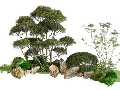 现代花草树木 石头景观园艺小品
