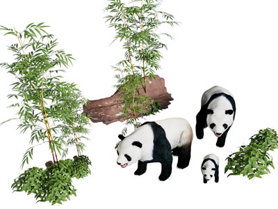 现代国宝熊猫动物园 竹子