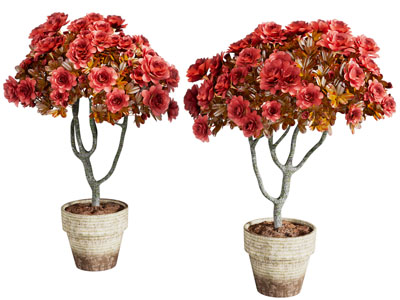 侘寂风花盆花卉盆栽植物