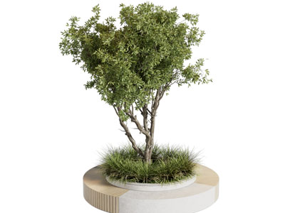 现代花池 景观凳子树木