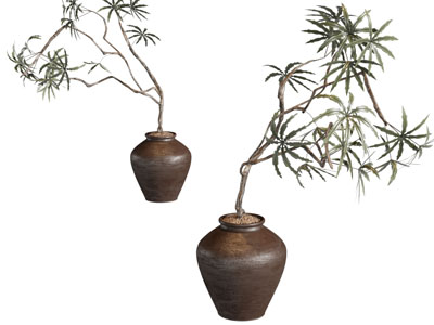 侘寂风陶瓷花瓶花卉