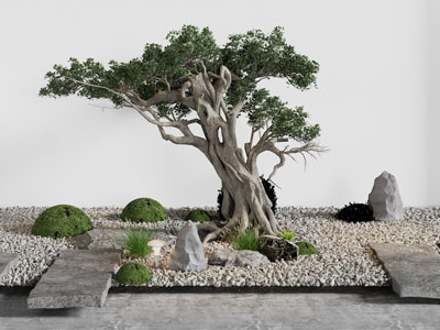 新中式庭院大树 石子景观园艺小品