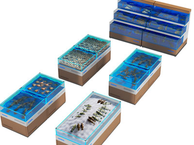 现代海洋生鲜池 展示柜3d模型 现代海洋生鲜池 展示柜