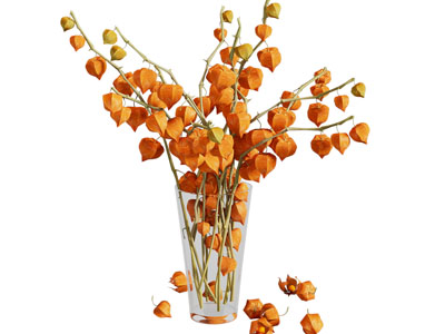 现代玻璃花瓶花卉