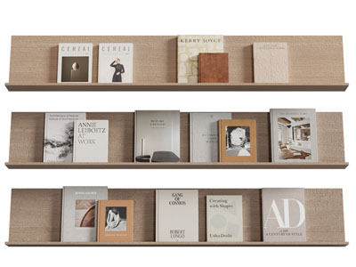 现代墙面书籍书本收纳架3d模型 现代墙面书籍书本收纳架