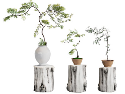 新中式花盆盆景盆栽植物