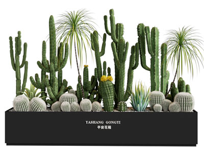 现代花箱多肉植物盆景盆栽