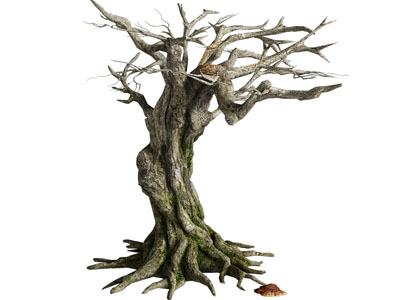 现代枯树