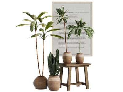 侘寂风陶艺花盆盆栽植物