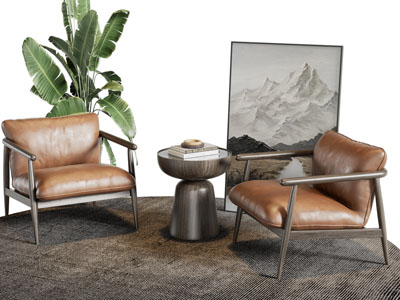 现代休闲椅子 边几 地画