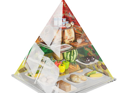 现代膳食宝塔 食物展示货架3d模型 现代膳食宝塔 食物展示货架