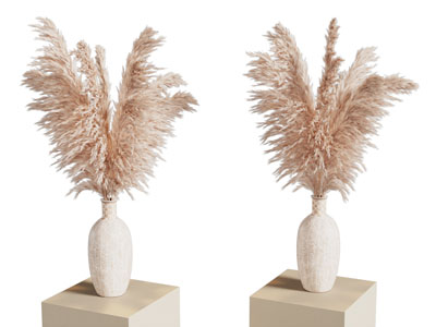 侘寂风花瓶芦苇花 摆件组合