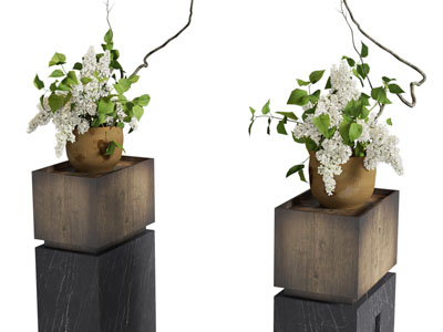 侘寂风花盆盆栽植物 摆件