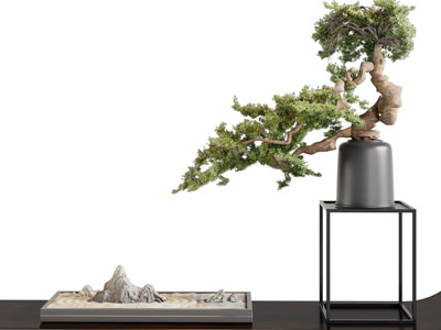 新中式山脉 松树盆景盆栽