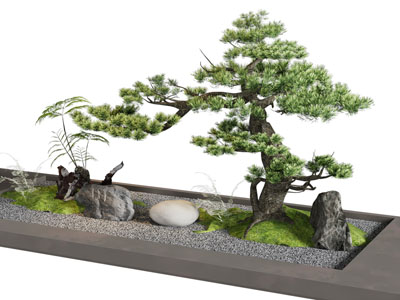 新中式花坛 松树 假山景观园艺小品