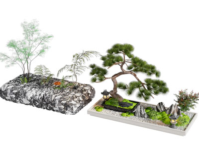 新中式松树盆景盆栽