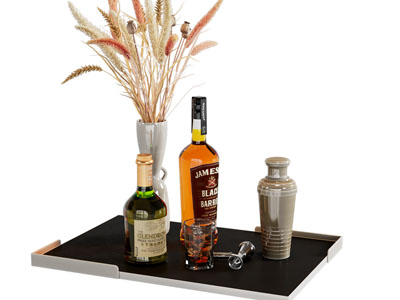 现代托盘酒瓶酒杯3d模型 现代托盘酒瓶酒杯