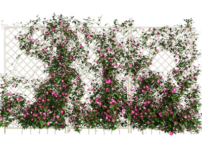 现代藤蔓花卉植物墙