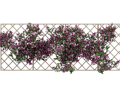 现代藤蔓花卉植物墙